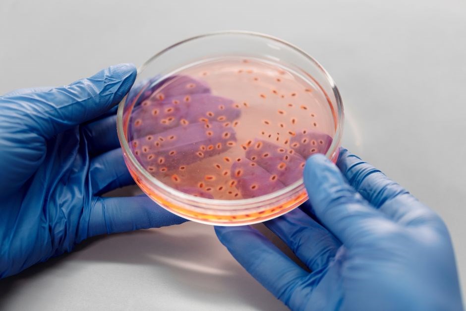 pdf microbiology pdf microbiology