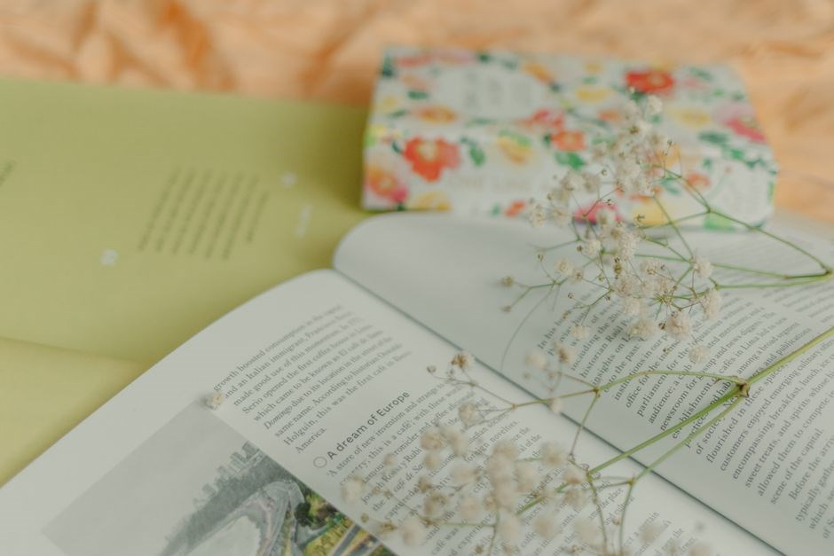 all the light we cannot see reading guide